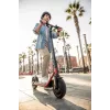Segway Ninebot eKickscooter D38E Juoda Raudona