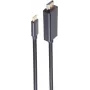 SHIVERPEAKS BASIC-S USB-C į DisplayPort kabelis 1m 8K60Hz juodas (BS10-61045)