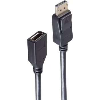 SHIVERPEAKS BS10-48025 DisplayPort kabelis 1m juodas