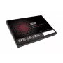 Silicon Power Ace A5X 256GB 2.5 inch SATA III SSD