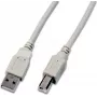 Wirewin USB 2.0 A-B kabelis 1m pilkas USB A-B MM 1.0 GR