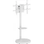 SpeaKa Professional SP-TVS-800 reguliuojamo aukščio pakreipiamas TV stovas ant grindų 37-86 colių ekranams, VESA 200x200 iki 800x500, 50 kg, juodas