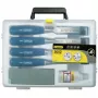 Stanley 5002 Series 6 dalių medžio kaltų rinkinys plastikiniame dėkle