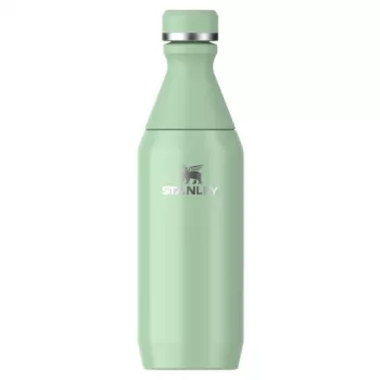 STANLEY Thermos „The All Day Slim“ plona gertuvė 0,35 l, blizgus pistacijų atspalvis