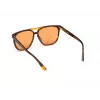 Akiniai nuo saulės WEB EYEWEAR Unisex WE0263-5956J Square Havana Acetate Frame Green Polycarbonate Lens 59/13/145 mm UV400