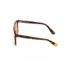 Akiniai nuo saulės WEB EYEWEAR Unisex WE0263-5956J Square Havana Acetate Frame Green Polycarbonate Lens 59/13/145 mm UV400