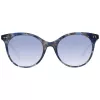 Akiniai nuo saulės WEB EYEWEAR Moteriški WE0277-5255W Cat Eye Havana Brown 52/19/140 mm