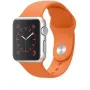 Taktinė Apple silikono apyrankė Apple Watch 44mm / 42mm oranžinė