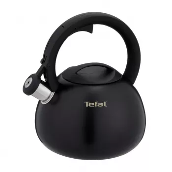 Tefal N4180410 Express Control nerūdijančio plieno virdulys 2,5 L indukcinis sidabrinis/juodas