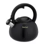 Tefal N4180410 Express Control nerūdijančio plieno virdulys 2,5 L indukcinis sidabrinis/juodas