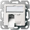 Telegärtner AMJ45 8/8 K Up/50 Cat.6A įleidžiama duomenų lizdų plokštė, 2x RJ45, ekranuota, perlamutrinė balta RAL 1013 J00020A0501