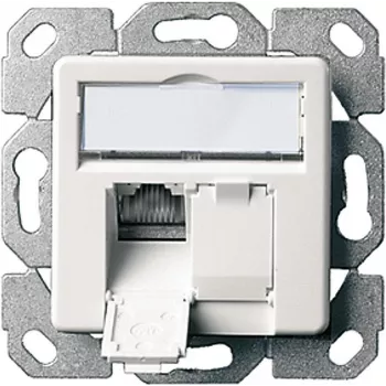 Telegärtner AMJ45 8/8 K Up/50 Cat.6A įleidžiama duomenų lizdų plokštė, 2x RJ45, ekranuota, perlamutrinė balta RAL 1013 J00020A0501