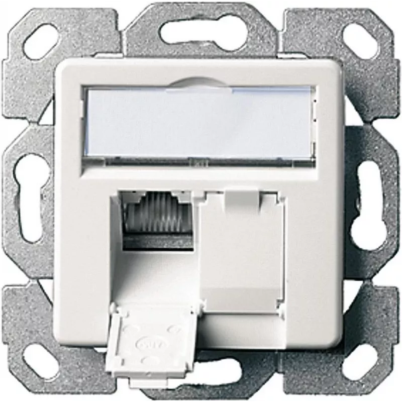 Telegärtner AMJ45 8/8 K Up/50 Cat.6A įleidžiama duomenų lizdų plokštė, 2x RJ45, ekranuota, perlamutrinė balta RAL 1013 J00020A0501
