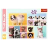 TREFL PUZZLE Dėlionė 160 Šunų Draugystė Trefl 15412