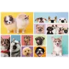 TREFL PUZZLE Dėlionė 160 Šunų Draugystė Trefl 15412