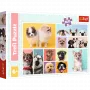 TREFL PUZZLE Dėlionė 160 Šunų Draugystė Trefl 15412