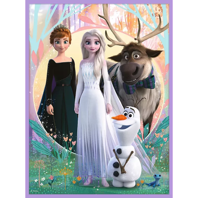 TREFL PUZZLE Dėlionė - 2in1 + Memos Princesės savo šalyje - Disney Frozen 2 93335