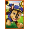 TREFL PUZZLE Dėlionė - 3x80 - Dog Pack Paw Patrol Trefl 34886