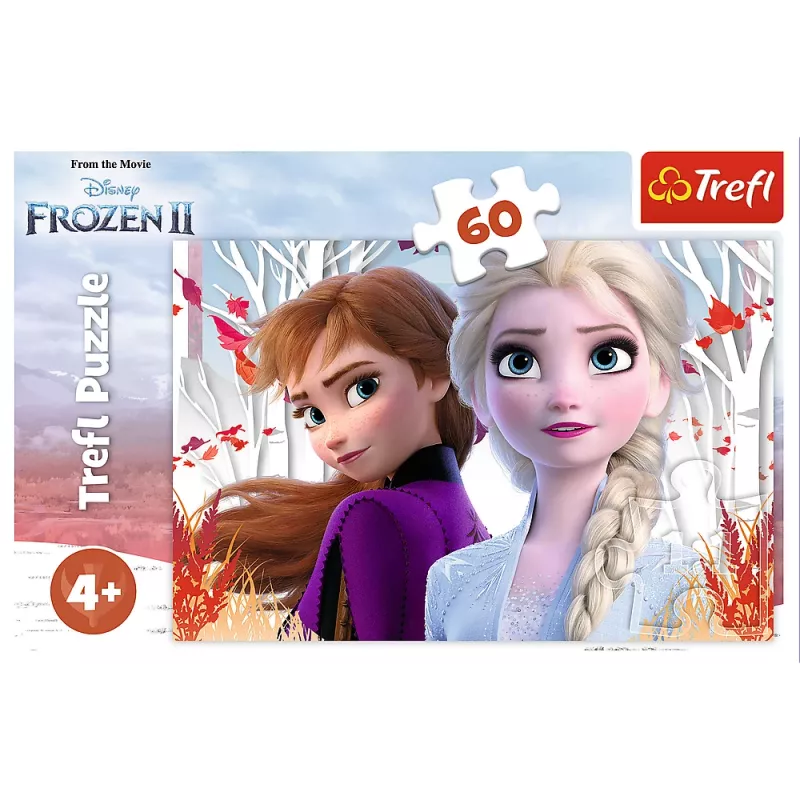 TREFL PUZZLE Dėlionė 60 Stebuklingas Anos ir Elzos pasaulis