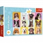 TREFL PUZZLE Dėlionė - 60 - Mieli šuniukai