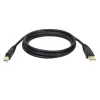 Tripp Eaton Tripp Lite Series USB 2.0 A to B laidas (M/M)