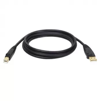 Tripp Eaton Tripp Lite Series USB 2.0 A to B laidas (M/M)