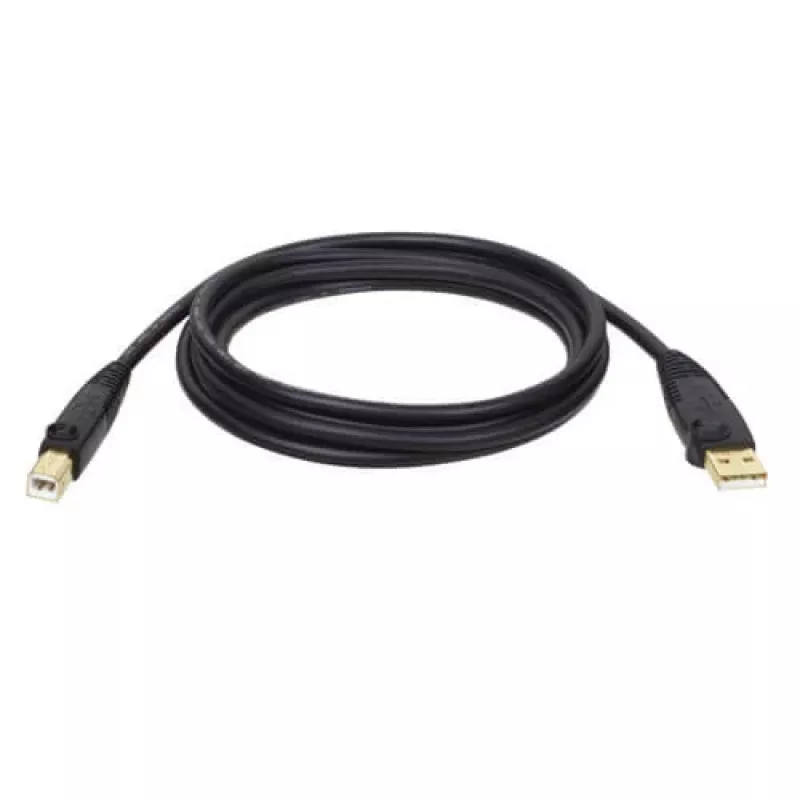 Tripp Eaton Tripp Lite Series USB 2.0 A to B laidas (M/M)