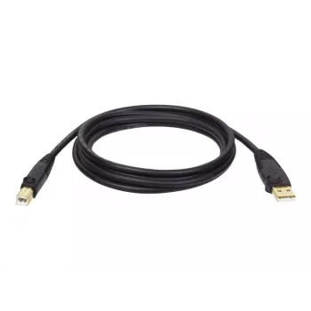 Tripp Eaton Tripp Lite Series USB 2.0 A to B laidas (M/M)