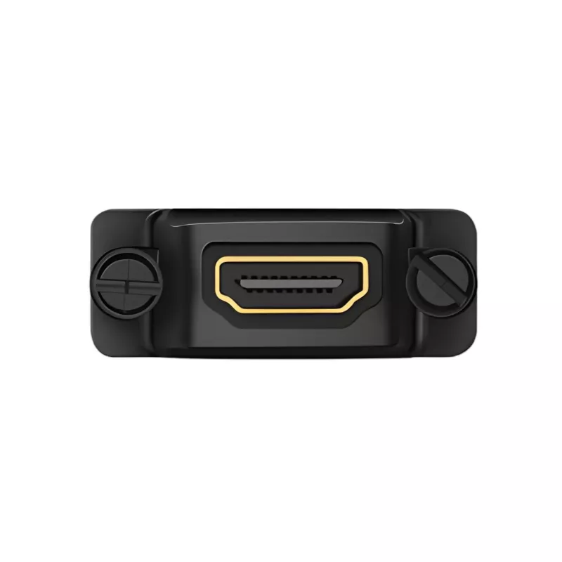 UGREEN 20124-20124 DVI (24+1) vyriškas į HDMI moterišką adapterį - juoda