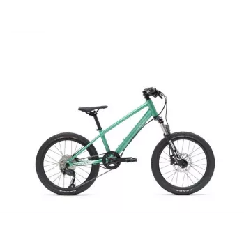 VAAST Y/1 Mountain Bike 20 Inch Gloss Teal – Junior MTB su Super Magnesium rėmu