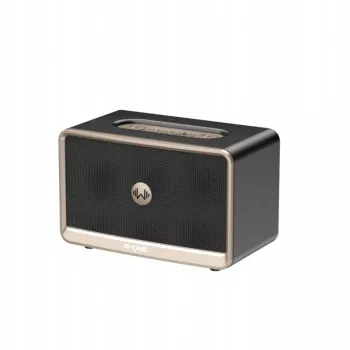 W-King H330 nešiojamas belaidis Bluetooth garsiakalbis 30W IPX6 juodas