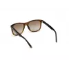 WEB EYEWEAR MAN WE0279-5652G Akiniai Havana Green 56/19/145 mm