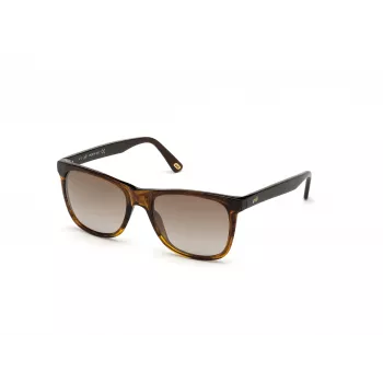WEB EYEWEAR MAN WE0279-5652G Akiniai Havana Green 56/19/145 mm