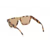 WEB EYEWEAR MAN WE0314-0041F Akiniai Havana Acetato Rėmelis Rudi Gradientiniai Lęšiai 54-19-145