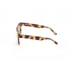 WEB EYEWEAR MAN WE0314-0041F Akiniai Havana Acetato Rėmelis Rudi Gradientiniai Lęšiai 54-19-145