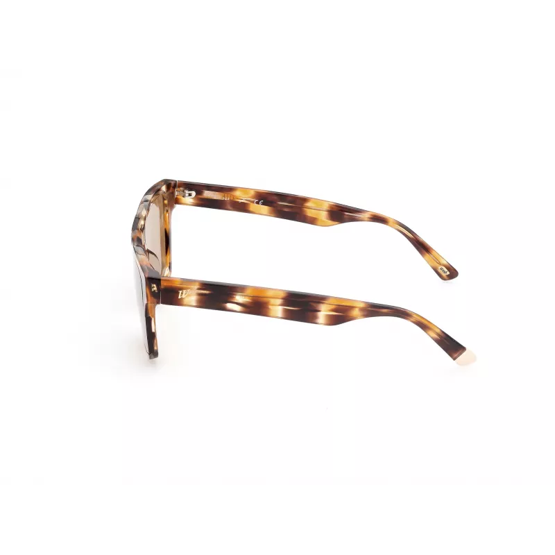 WEB EYEWEAR MAN WE0314-0041F Akiniai Havana Acetato Rėmelis Rudi Gradientiniai Lęšiai 54-19-145