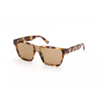WEB EYEWEAR MAN WE0314-0041F Akiniai Havana Acetato Rėmelis Rudi Gradientiniai Lęšiai 54-19-145