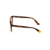 WEB EYEWEAR Unisex WE0262-5156J Stačiakampiai acetatiniai akiniai nuo saulės Havana/Rudi gradientiniai lęšiai 51/19/145 mm UV400