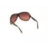 WEB EYEWEAR Woman WE0290-6552F Havana Brown Rectangular Cat Eye Sunglasses 65/12/115 mm