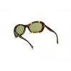 WEB EYEWEAR Moteriški akiniai nuo saulės WE0289-5652N Havana acetatinis kvadratinis rėmelis, rudi gradientiniai lęšiai 56/19/130 mm