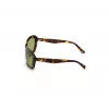 WEB EYEWEAR Moteriški akiniai nuo saulės WE0289-5652N Havana acetatinis kvadratinis rėmelis, rudi gradientiniai lęšiai 56/19/130 mm