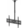 WENTRONIC Goobay TV lubų laikiklis XL 80175
