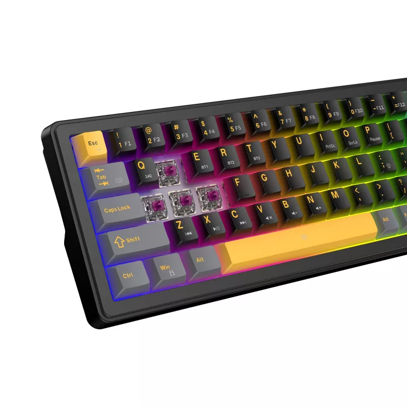 White Shark EXCALIBUR M GK-009151 mechaninė žaidimų klaviatūra, juoda, JAV išdėstymas, RGB, laidinė