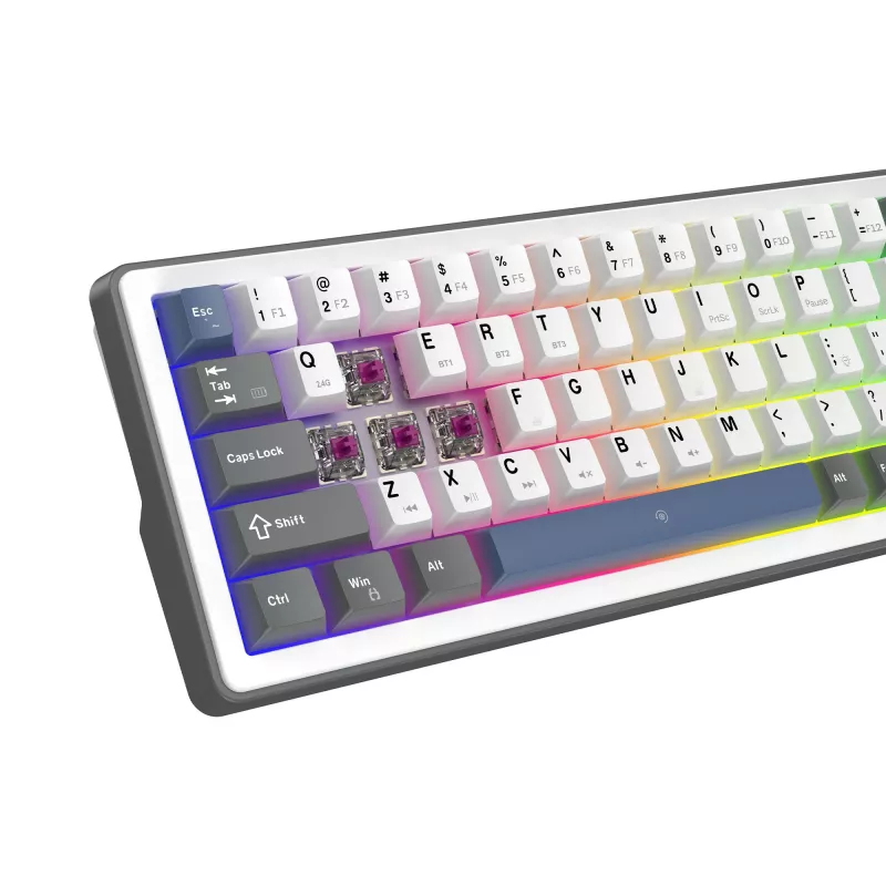 „White Shark EXCALIBUR M“ mechaninė klaviatūra (GK-009251) su Outemu Blue jungikliais, RGB foniniu apšvietimu, US išdėstymu, balta