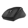 WINX DO ESSENTIAL belaidė pelė 2,4 GHz optinė 1600 DPI juoda