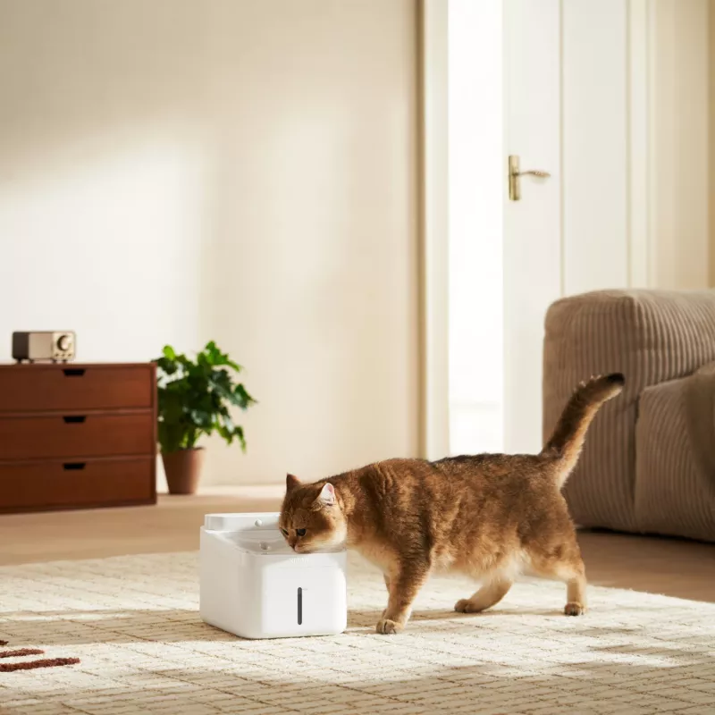 Xiaomi Smart Pet Fountain 2 - 2L automatinis vandens dozatorius katėms ir šunims su keturių pakopų filtravimu, programėlės valdymu, tyliu siurbliu, baltas