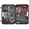 Yato YT-38891 216 dalių mechaniko įrankių rinkinys su 1/4 inch, 3/8 inch ir 1/2 inch reketais, antgaliais, veržliarakčiais, antgaliais ir šešiabriauniais rakteliais, laikomas liejame dėkle